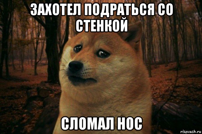 захотел подраться со стенкой сломал нос, Мем SAD DOGE