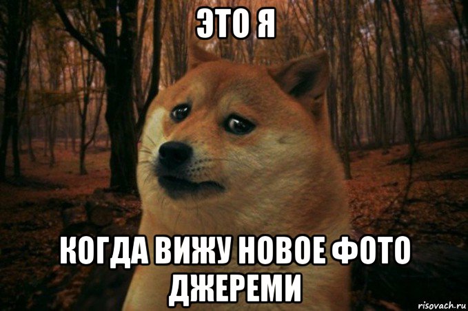 это я когда вижу новое фото джереми, Мем SAD DOGE