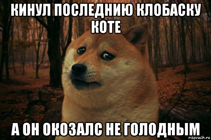 кинул последнию клобаску коте а он окозалс не голодным, Мем SAD DOGE