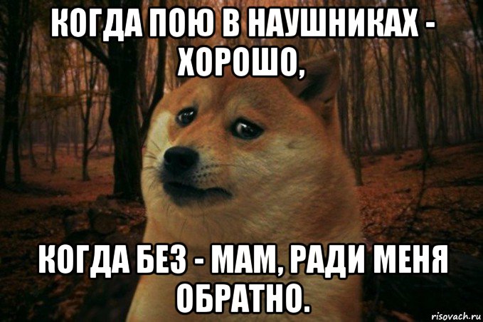 когда пою в наушниках - хорошо, когда без - мам, рaди меня обратно., Мем SAD DOGE