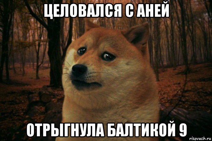 целовался с аней отрыгнула балтикой 9, Мем SAD DOGE