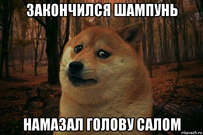 закончился шампунь намазал голову салом, Мем SAD DOGE