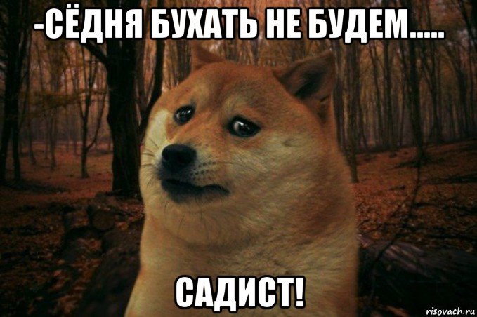 -сёдня бухать не будем..... садист!