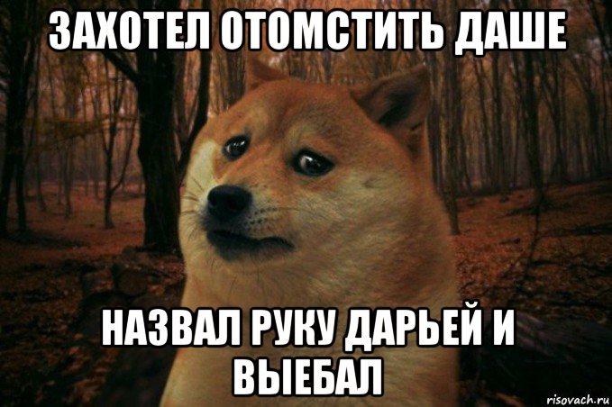 захотел отомстить даше назвал руку дарьей и выебал, Мем SAD DOGE