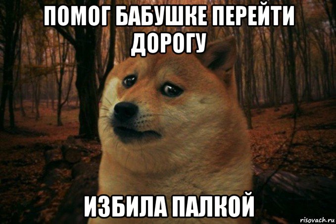 помог бабушке перейти дорогу избила палкой, Мем SAD DOGE