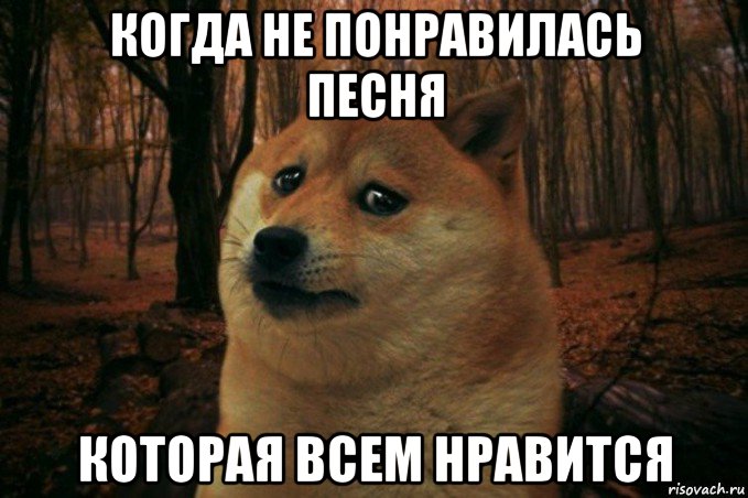 когда не понравилась песня которая всем нравится, Мем SAD DOGE