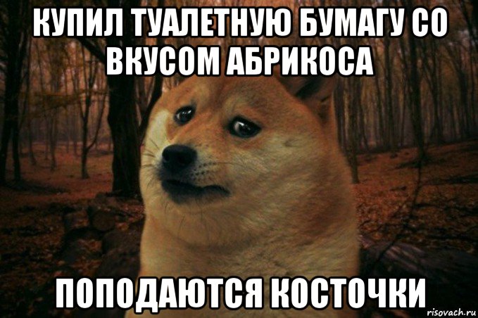 купил туалетную бумагу со вкусом абрикоса поподаются косточки, Мем SAD DOGE