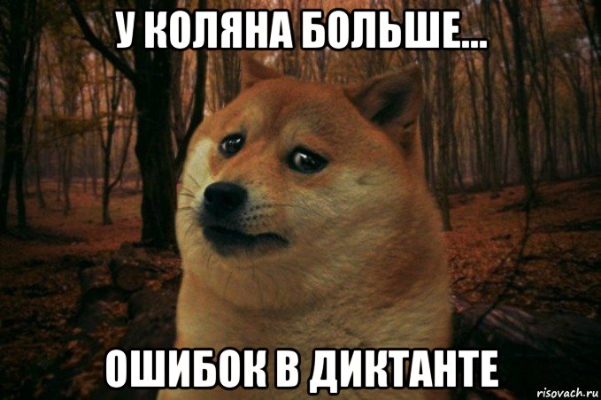 у коляна больше... ошибок в диктанте, Мем SAD DOGE