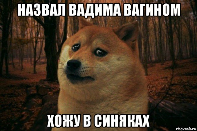 назвал вадима вагином хожу в синяках, Мем SAD DOGE