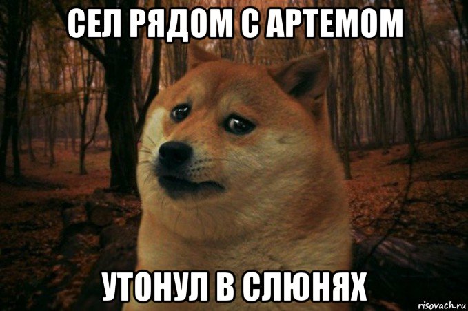 сел рядом с артемом утонул в слюнях, Мем SAD DOGE