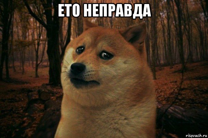 ето неправда , Мем SAD DOGE