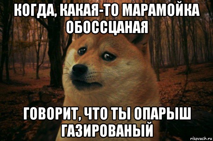 когда, какая-то марамойка обоссцаная говорит, что ты опарыш газированый, Мем SAD DOGE