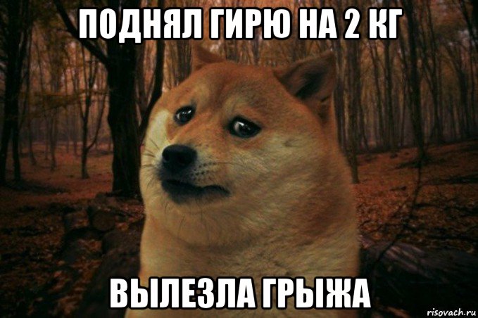 поднял гирю на 2 кг вылезла грыжа, Мем SAD DOGE