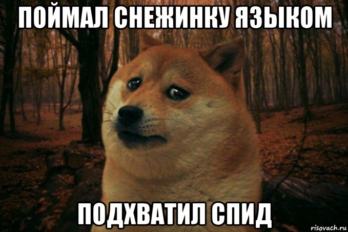 поймал снежинку языком подхватил спид, Мем SAD DOGE