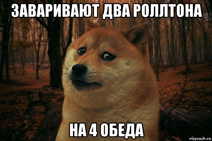 заваривают два роллтона на 4 обеда, Мем SAD DOGE