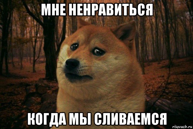 мне ненравиться когда мы сливаемся, Мем SAD DOGE