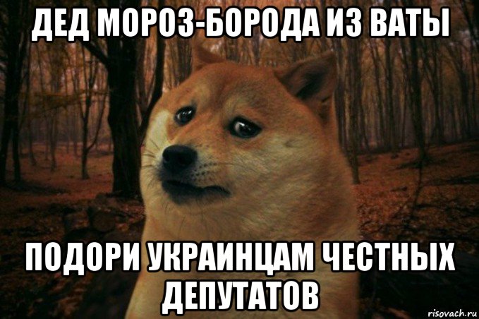 дед мороз-борода из ваты подори украинцам честных депутатов, Мем SAD DOGE