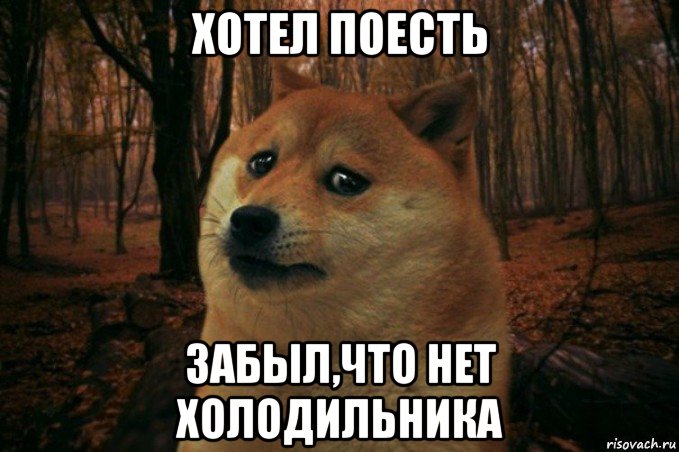 хотел поесть забыл,что нет холодильника, Мем SAD DOGE