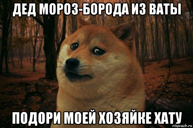 дед мороз-борода из ваты подори моей хозяйке хату, Мем SAD DOGE