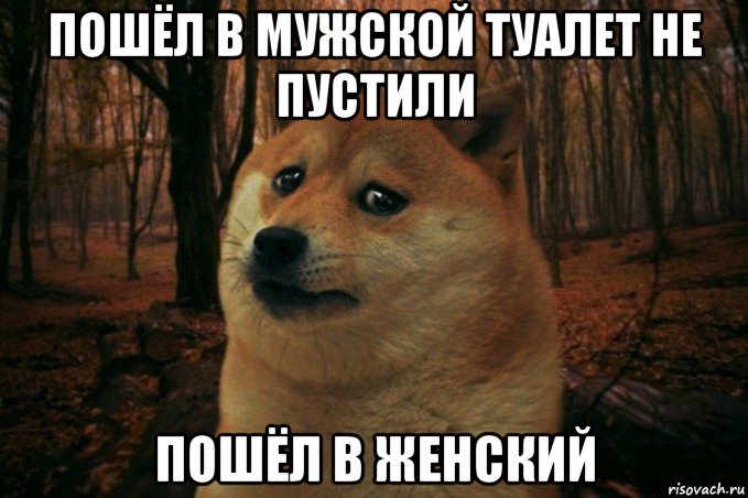 пошёл в мужской туалет не пустили пошёл в женский, Мем SAD DOGE