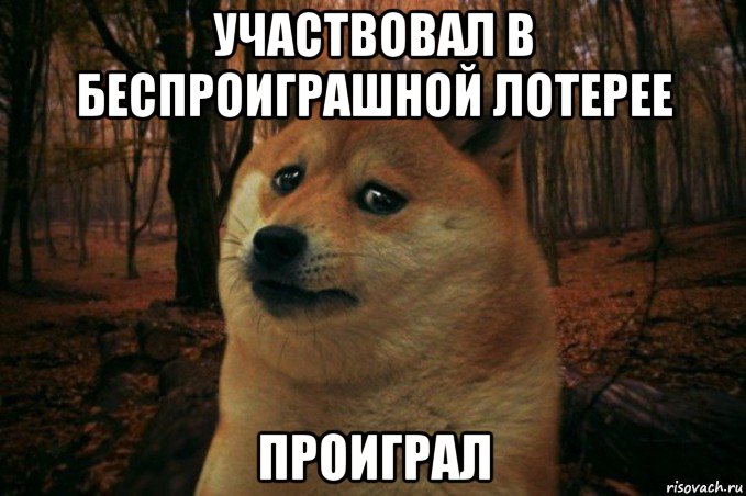 участвовал в беспроиграшной лотерее проиграл, Мем SAD DOGE