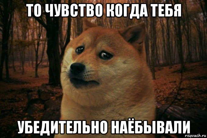 то чувство когда тебя убедительно наёбывали, Мем SAD DOGE