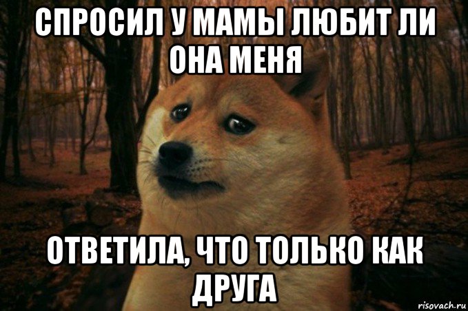 спросил у мамы любит ли она меня ответила, что только как друга, Мем SAD DOGE