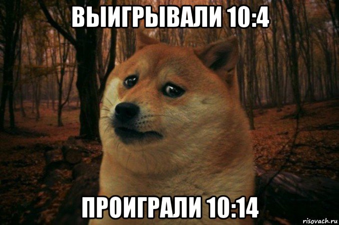 выигрывали 10:4 проиграли 10:14, Мем SAD DOGE