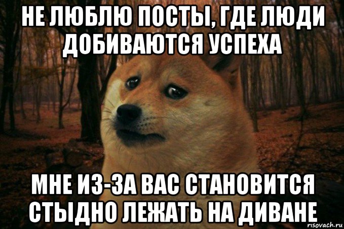 не люблю посты, где люди добиваются успеха мне из-за вас становится стыдно лежать на диване, Мем SAD DOGE