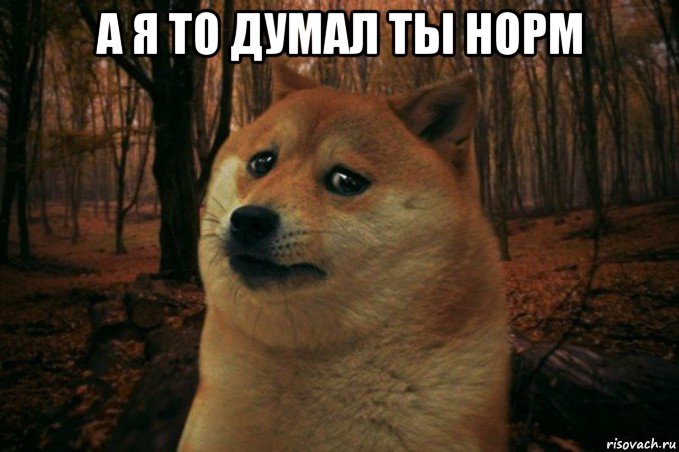 а я то думал ты норм , Мем SAD DOGE