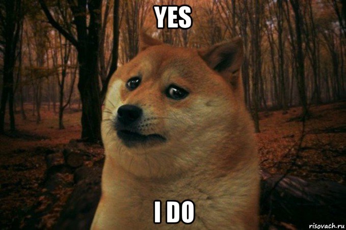 yes i do, Мем SAD DOGE