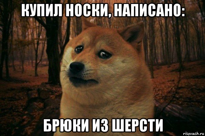 купил носки, написано: брюки из шерсти, Мем SAD DOGE