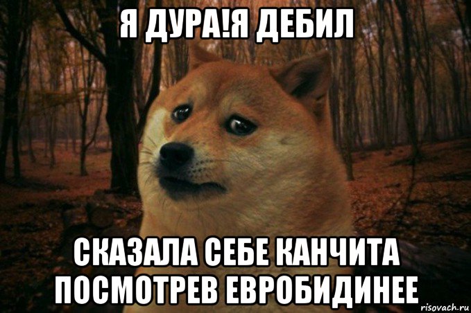 я дура!я дебил сказала себе канчита посмотрев евробидинее, Мем SAD DOGE