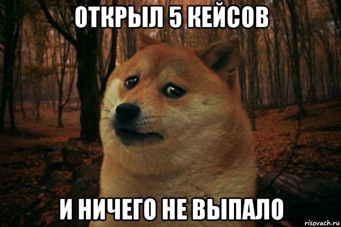 открыл 5 кейсов и ничего не выпало, Мем SAD DOGE