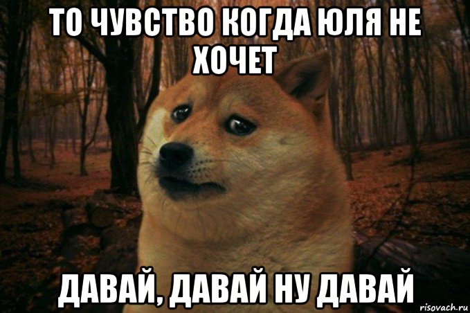 то чувство когда юля не хочет давай, давай ну давай, Мем SAD DOGE