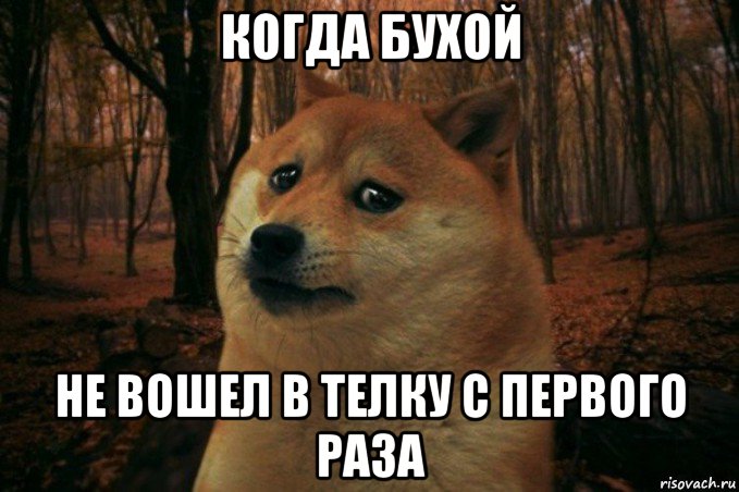 когда бухой не вошел в телку с первого раза, Мем SAD DOGE