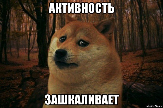 активность зашкаливает, Мем SAD DOGE