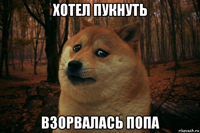 хотел пукнуть взорвалась попа, Мем SAD DOGE