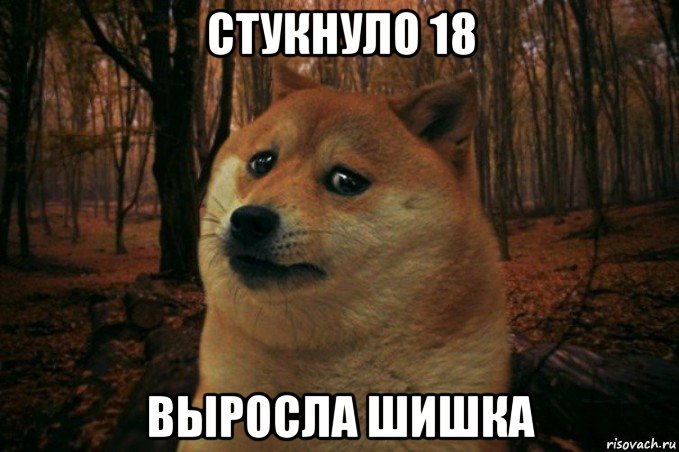 стукнуло 18 выросла шишка, Мем SAD DOGE