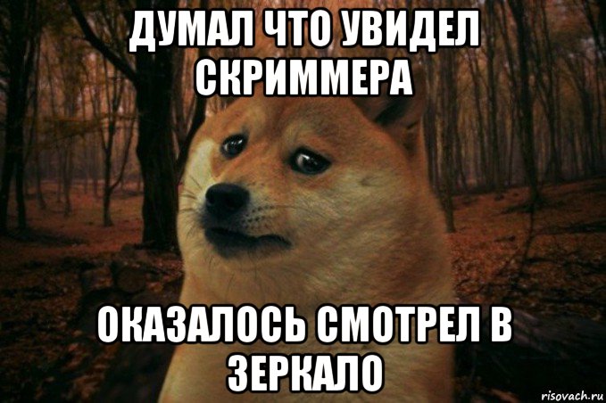 думал что увидел скриммера оказалось смотрел в зеркало, Мем SAD DOGE