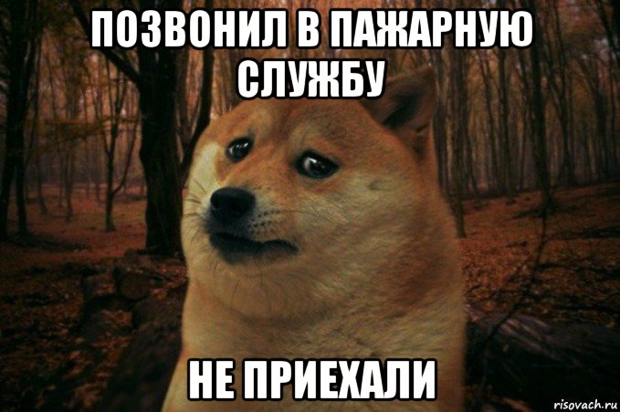 позвонил в пажарную службу не приехали, Мем SAD DOGE