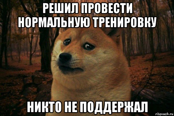 решил провести нормальную тренировку никто не поддержал, Мем SAD DOGE