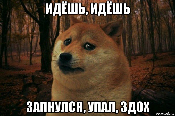 идёшь, идёшь запнулся, упал, здох, Мем SAD DOGE