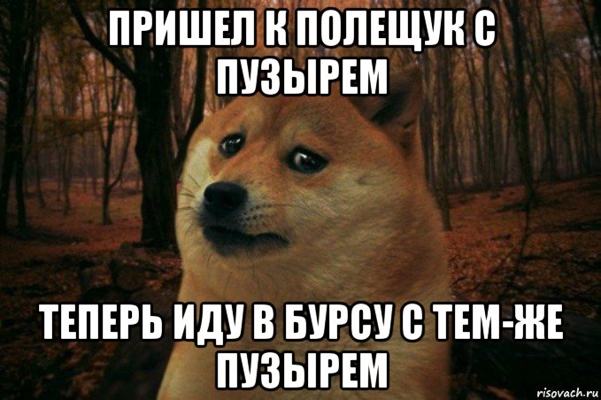 пришел к полещук с пузырем теперь иду в бурсу с тем-же пузырем, Мем SAD DOGE