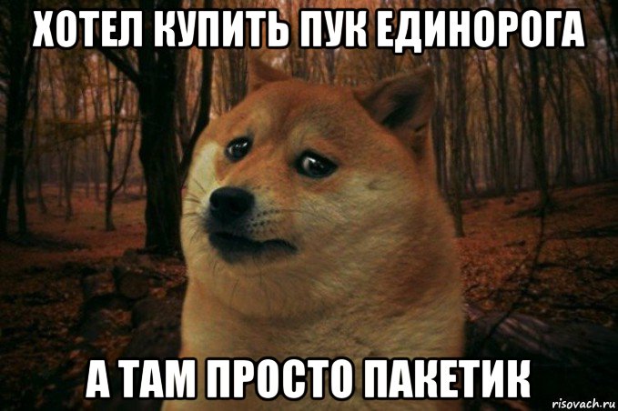 хотел купить пук единорога а там просто пакетик, Мем SAD DOGE