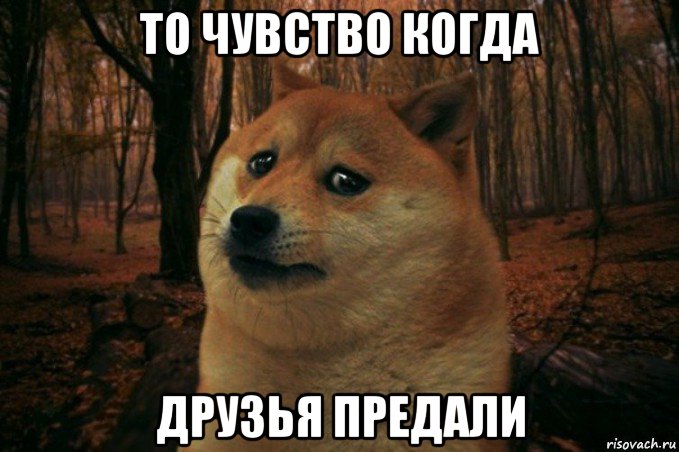 то чувство когда друзья предали, Мем SAD DOGE