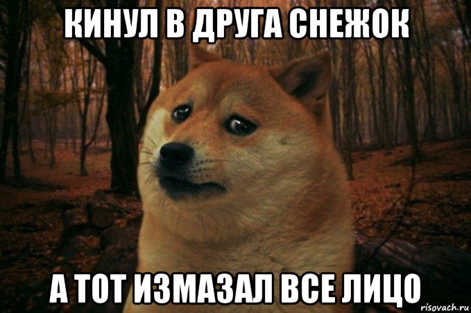 кинул в друга снежок а тот измазал все лицо, Мем SAD DOGE