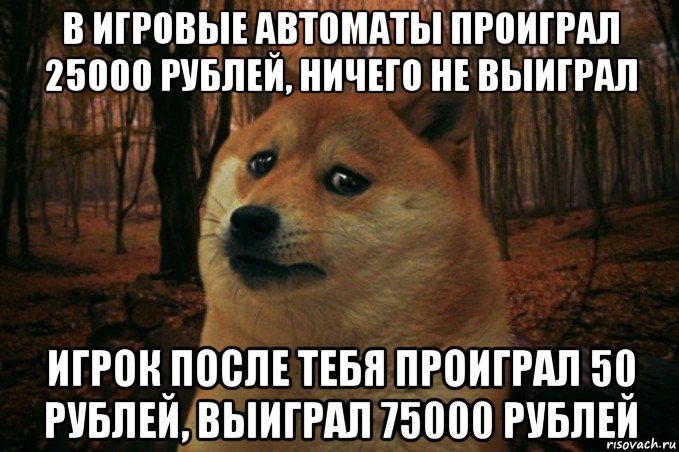 в игровые автоматы проиграл 25000 рублей, ничего не выиграл игрок после тебя проиграл 50 рублей, выиграл 75000 рублей, Мем SAD DOGE