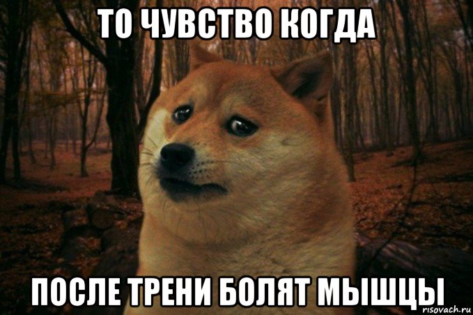 то чувство когда после трени болят мышцы, Мем SAD DOGE