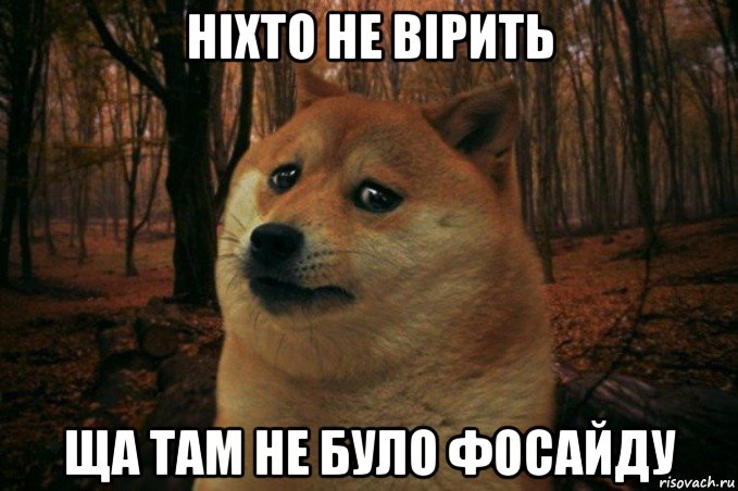 ніхто не вірить ща там не було фосайду, Мем SAD DOGE